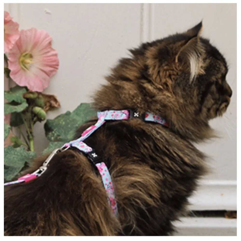 Max and Molly Adjustable Cat Harness and Leash Set - Tropical
